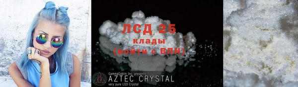 хмурый Абаза
