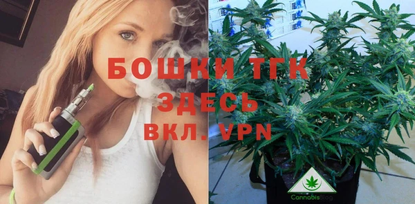 хмурый Абаза