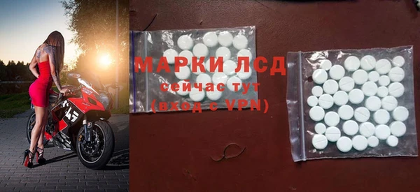 хмурый Абаза