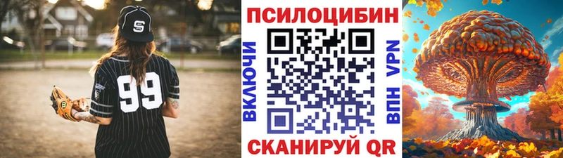 наркошоп  Кисловодск  Галлюциногенные грибы Psilocybine cubensis 