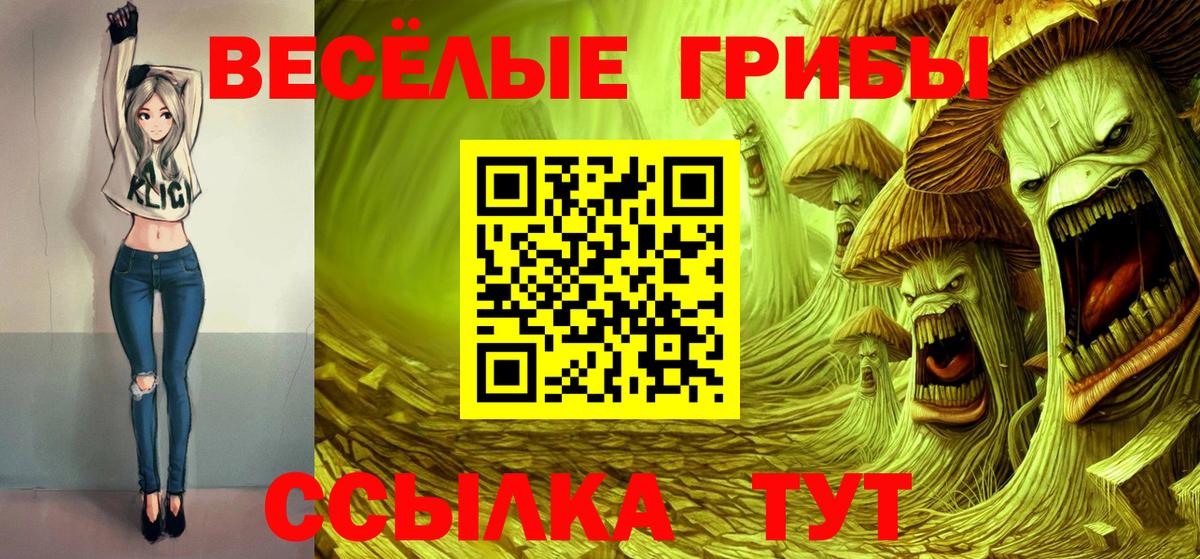 Псилоцибиновые грибы Psilocybe Кисловодск